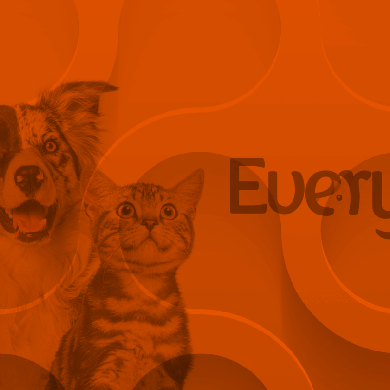 everypet blog image