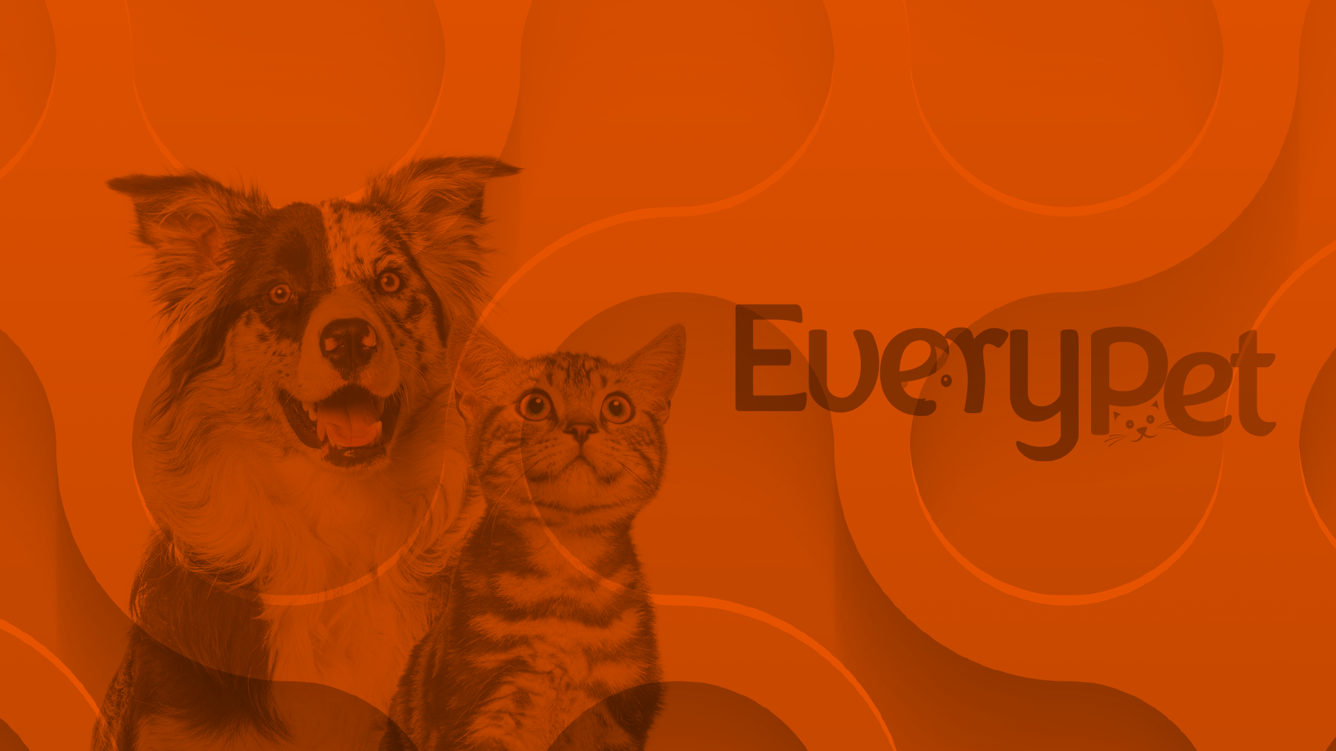 High Reason Leads Pro Bono Rebrand for Local Nonprofit EveryPet